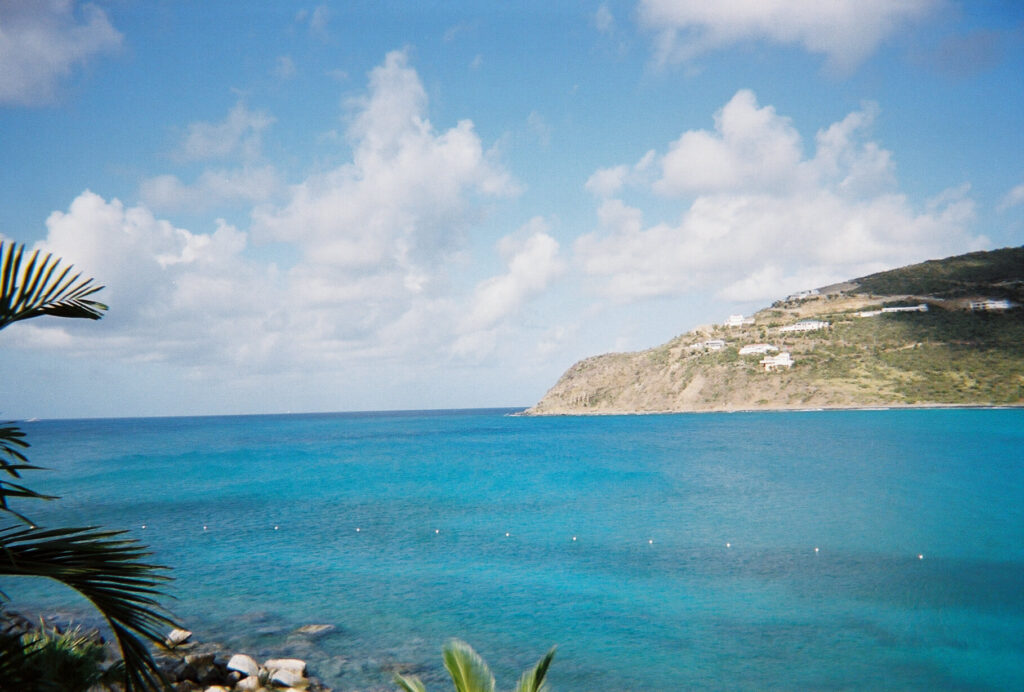 Turquoise water and a palm frond silhouette against a hillside in Sint Maarten